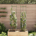 Vidaxl tomatenkooi 2 st 154 cm staal en polypropeen
