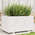 VidaXL Plantenbak 90x60x49,5 cm massief grenenhout wit