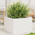 Vidaxl plantenbak 70x70x46 cm massief grenenhout wit