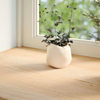 Vidaxl vensterbanken 2 st onbehandeld 110x15x2 cm massief eikenhout