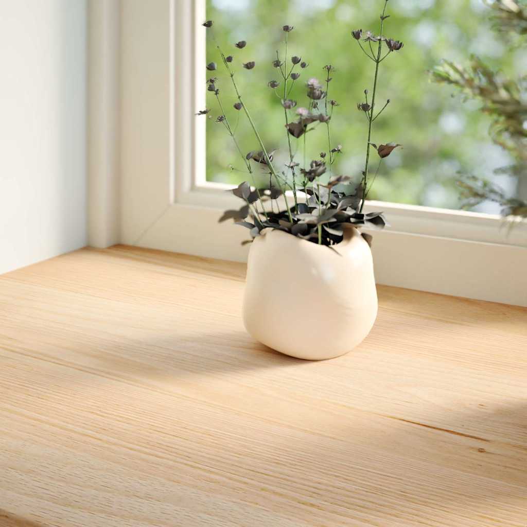Vidaxl vensterbanken 2 st onbehandeld 110x15x2 cm massief eikenhout