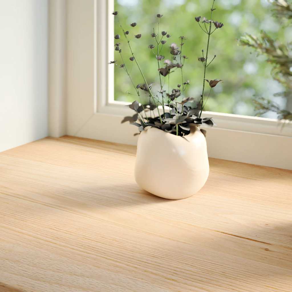 Vidaxl vensterbanken 2 st onbehandeld 100x40x2 cm massief eikenhout