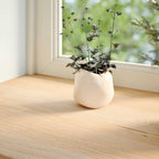 Vidaxl vensterbanken 2 st onbehandeld 100x40x2 cm massief eikenhout