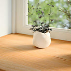 Vidaxl vensterbanken 2 st 70x25x2 cm massief eikenhout lichtbruin
