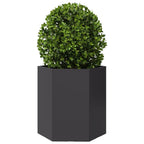 Vidaxl plantenbak zeshoek 46x40x45 cm staal zwart