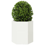 Vidaxl plantenbak zeshoek 46x40x45 cm staal wit