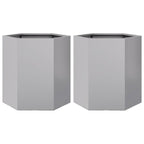 Vidaxl plantenbakken 2 st zeshoek 46x40x45 cm gegalvaniseerd staal