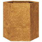 VidaXL Plantenbak zeshoek 46x40x45 cm cortenstaal
