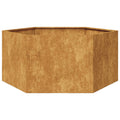 Vidaxl plantenbak zeshoek 104x90x45 cm weervast staal