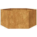 Vidaxl plantenbak zeshoek 104x90x45 cm weervast staal