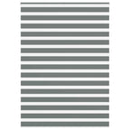 Vidaxl zebra rolgordijn 165x230 cm stofbreedte 160,9 cm donkergrijs