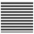 Vidaxl zebra rolgordijn 155x100 cm stofbreedte 150,9 cm zwart