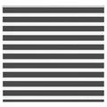 Vidaxl zebra rolgordijn 160x100 cm stofbreedte 155,9 cm zwart