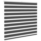 Vidaxl zebra rolgordijn 165x100 cm stofbreedte 160,9 cm zwart