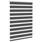 Vidaxl zebra rolgordijn 105x150 cm stofbreedte 100,9 cm zwart