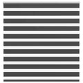 Vidaxl zebra rolgordijn 150x150 cm stofbreedte 145,9 cm zwart