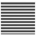 Vidaxl zebra rolgordijn 165x150 cm stofbreedte 160,9 cm zwart