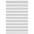 Vidaxl zebra rolgordijn 100x100 cm stofbreedte 95,9 cm lichtgrijs