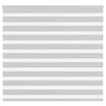 Vidaxl zebra rolgordijn 165x100 cm stofbreedte 160,9 cm lichtgrijs