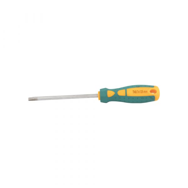 - Schroevendraaier Torx 40 x 125 mm.