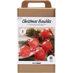 Https: www.cchobby.nl hobbyset-kerstballen-marmeren-1-doos