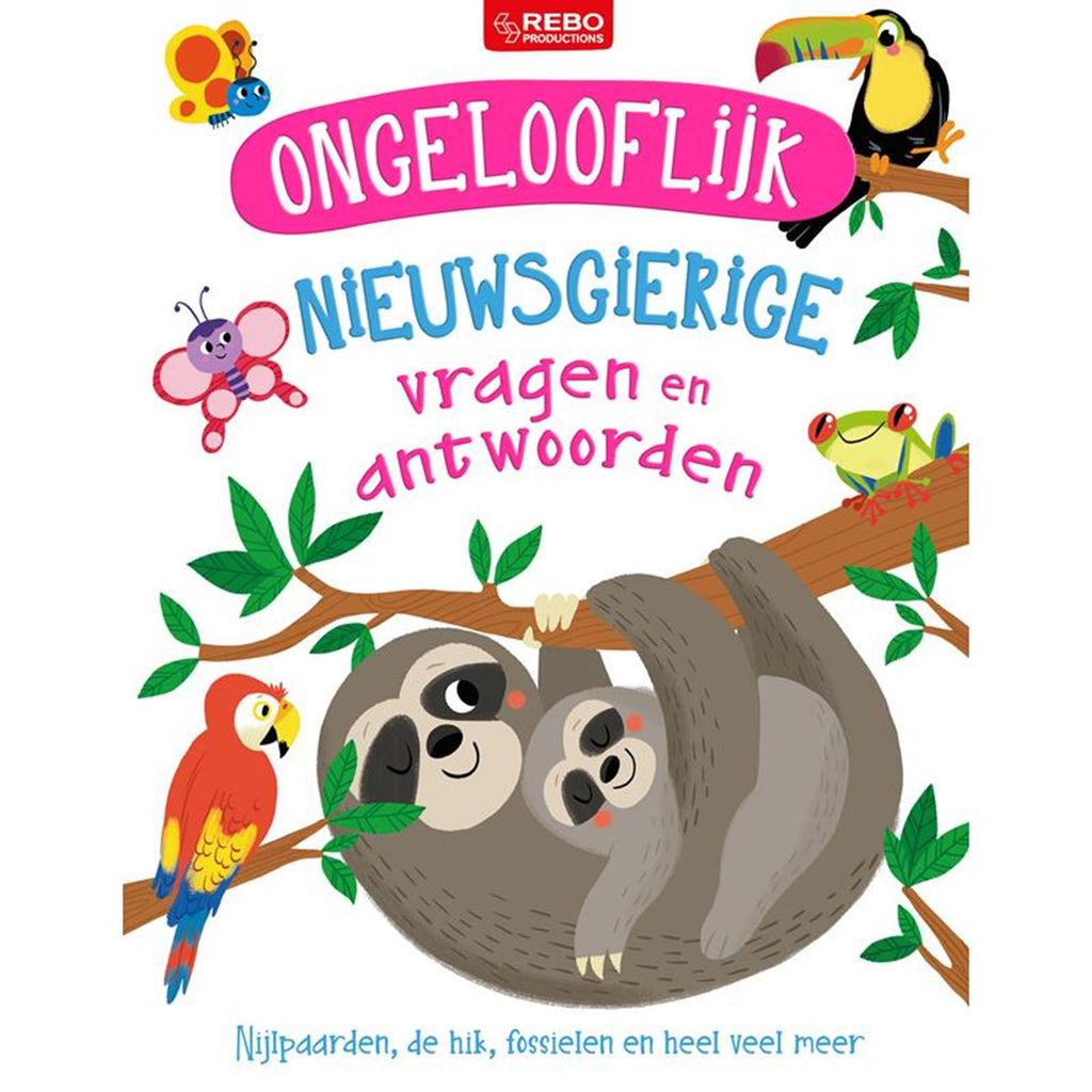 Rebo - Rebo ongelooflijk - vragen en antwoorden