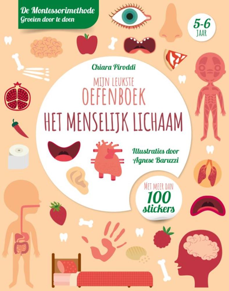 Rebo Publishers - Rebo Publishers Mijn leukste oefenboek het menselijk lic
