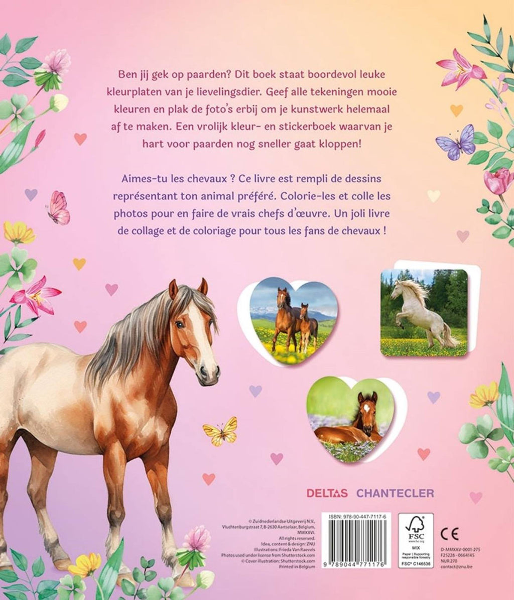 Deltas - Deltas Dream horses sticker parade - kleurboek