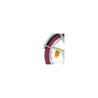 Alpina Spatbord set 22 Clubb blossom green