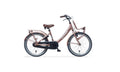 Alpina Clubb M20 Rose Goud
