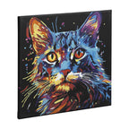Nassau schilderen op nummer zwart canvas kat, 30x30cm