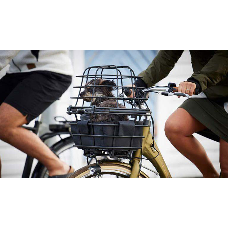 Atranvelo - Atranvelo epic multi animal mand zilver