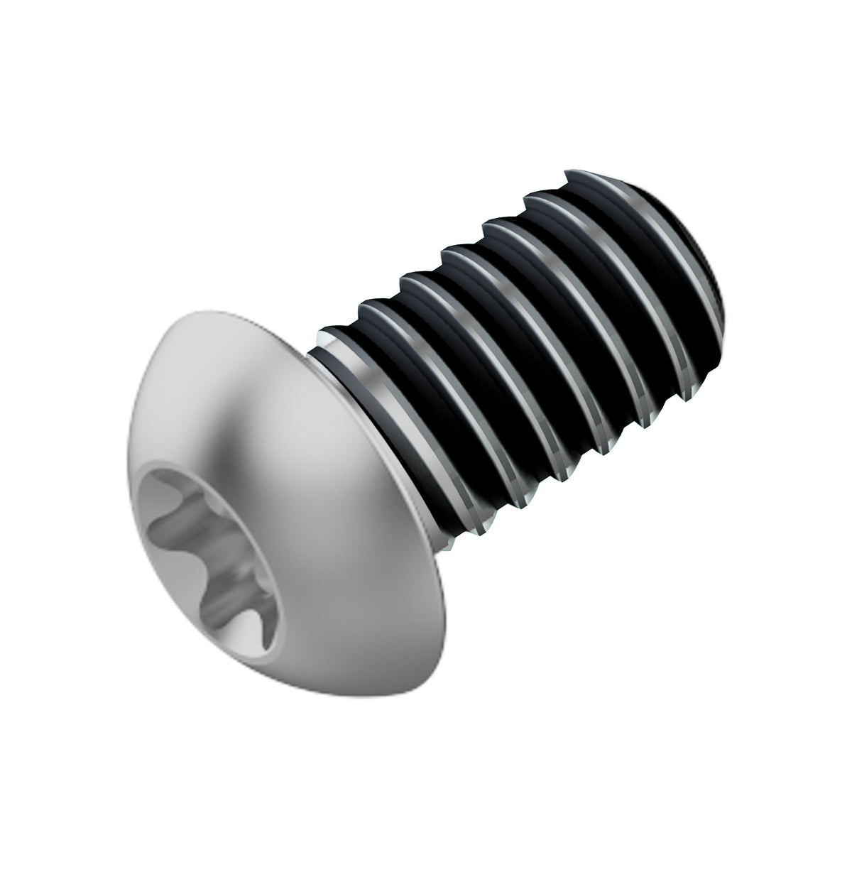 - Fahrwerker remschijf bout M5x10 LEV tl (120 stuks)