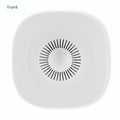 Ty frient air quali sensor (wit, zigbee 3.0)