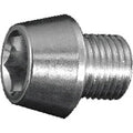 Gates schroef voor riemdemper snubber m10x1x12 rvs