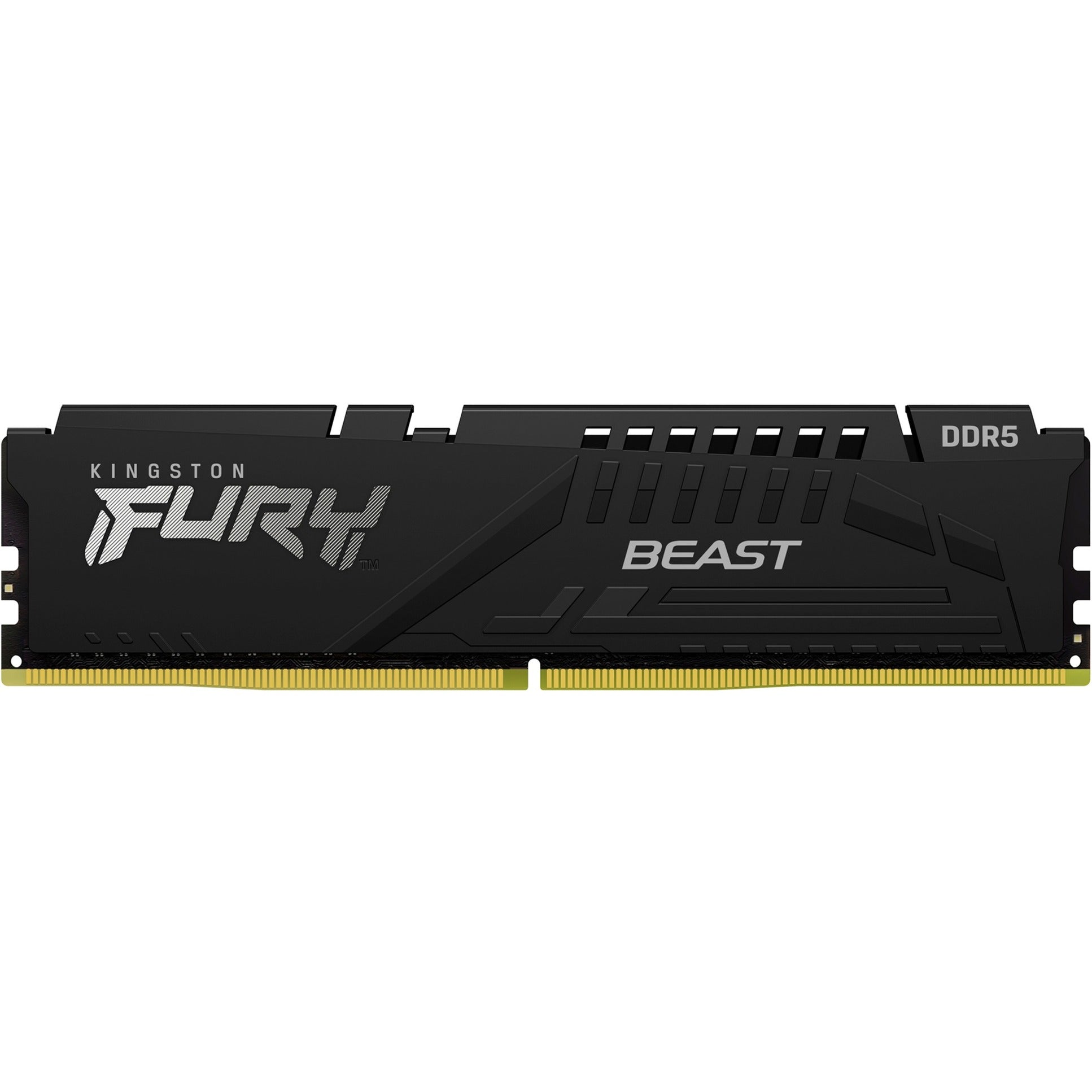 Intern geheugen kingston fury beast