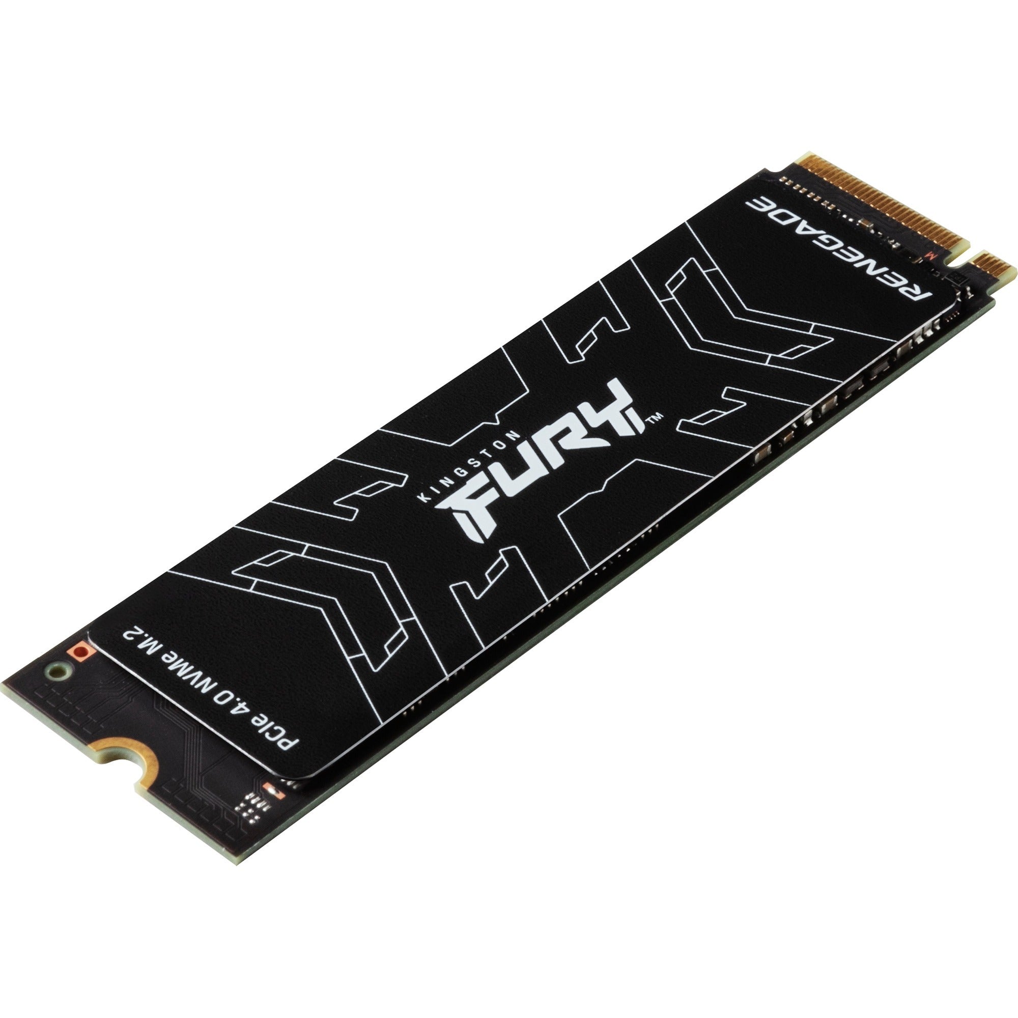 Kingston FURY Kingston FURY Renegade 500 GB