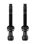 SCHWALBE - SCHWALBE Tubeless ventiel scv 40 mm (2 stuks)