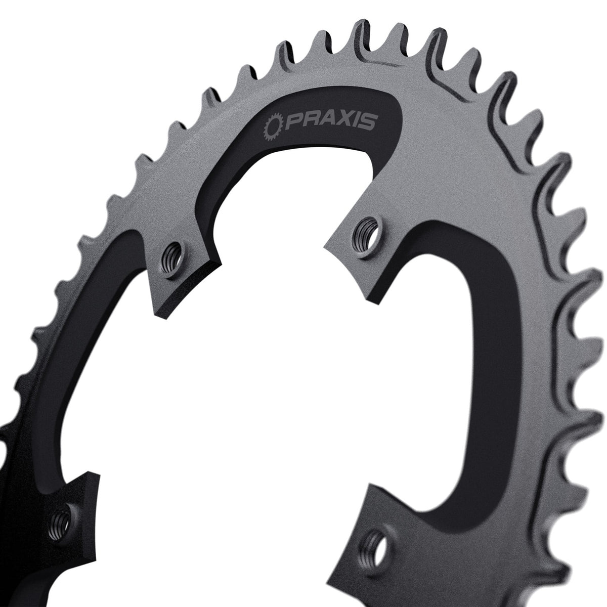 Praxis - Praxis kettingblad 1x e-ring 110bcd m8 44t