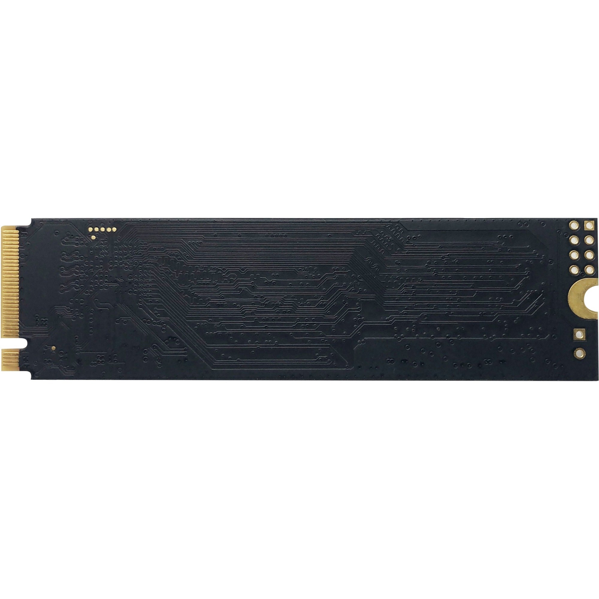 Patriot P300 1 TB