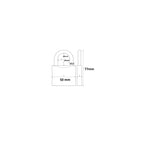 Abus Messing hangslot 65 50mm Goud - 7 cm