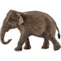 Schleich WILD LIFE Aziatische Olifant Vrouwtje 14753