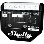 Shelly Qubino Wave 2PM
