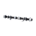 Fat - Fat Bike vooras m10x175