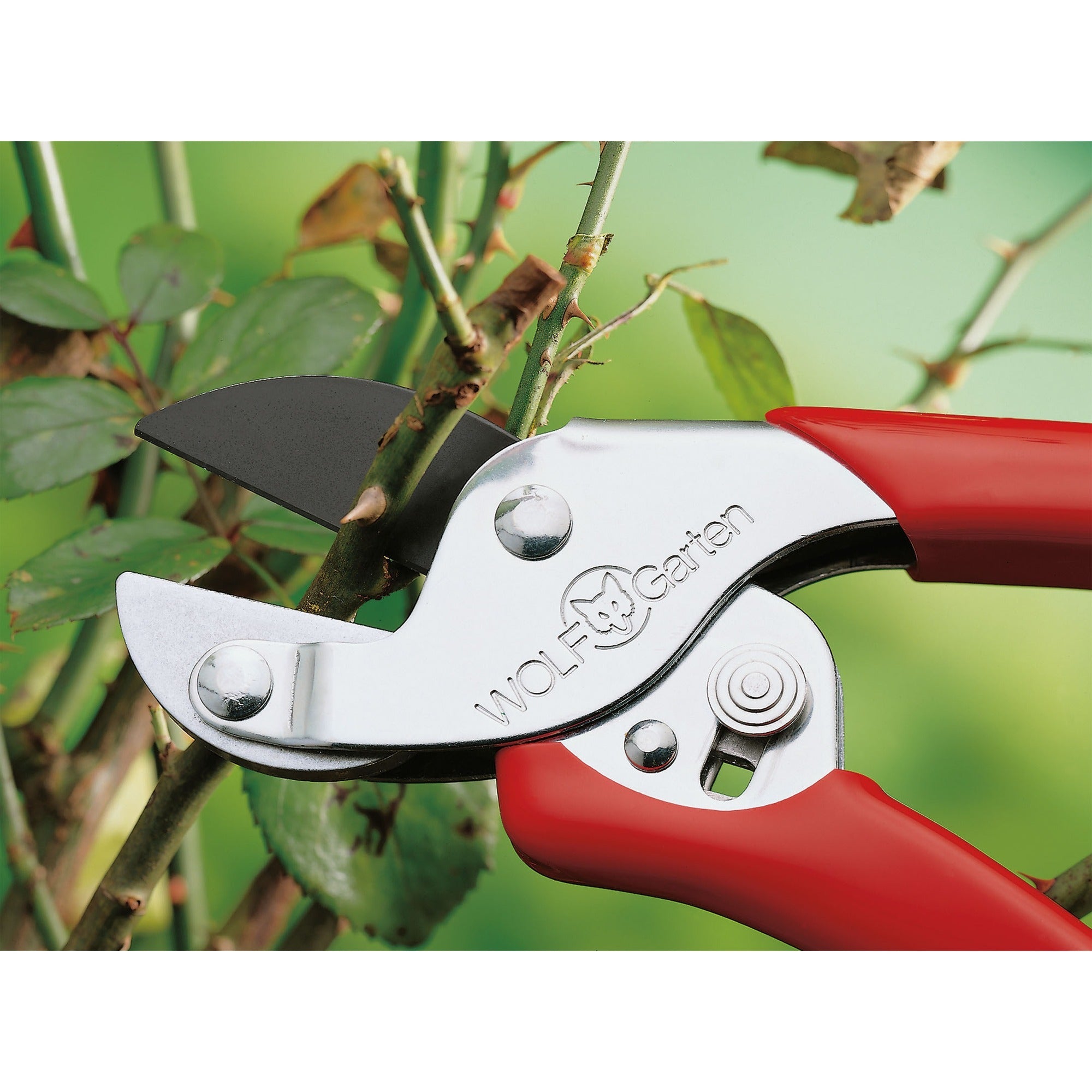 Wolf-garten rs-en snoeischaar (rood)