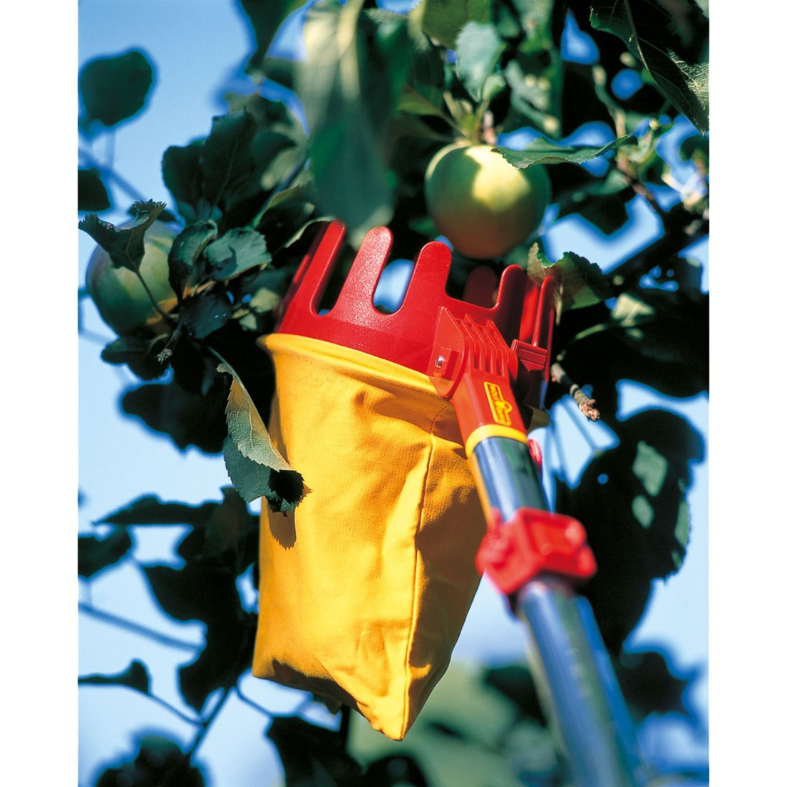 Wolf-garten multi-star rg-m fruitplukker (rood geel)