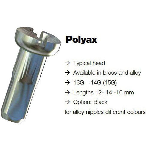 Sapim - spaaknippel 14 polyax 14mm zilver messing (100st)