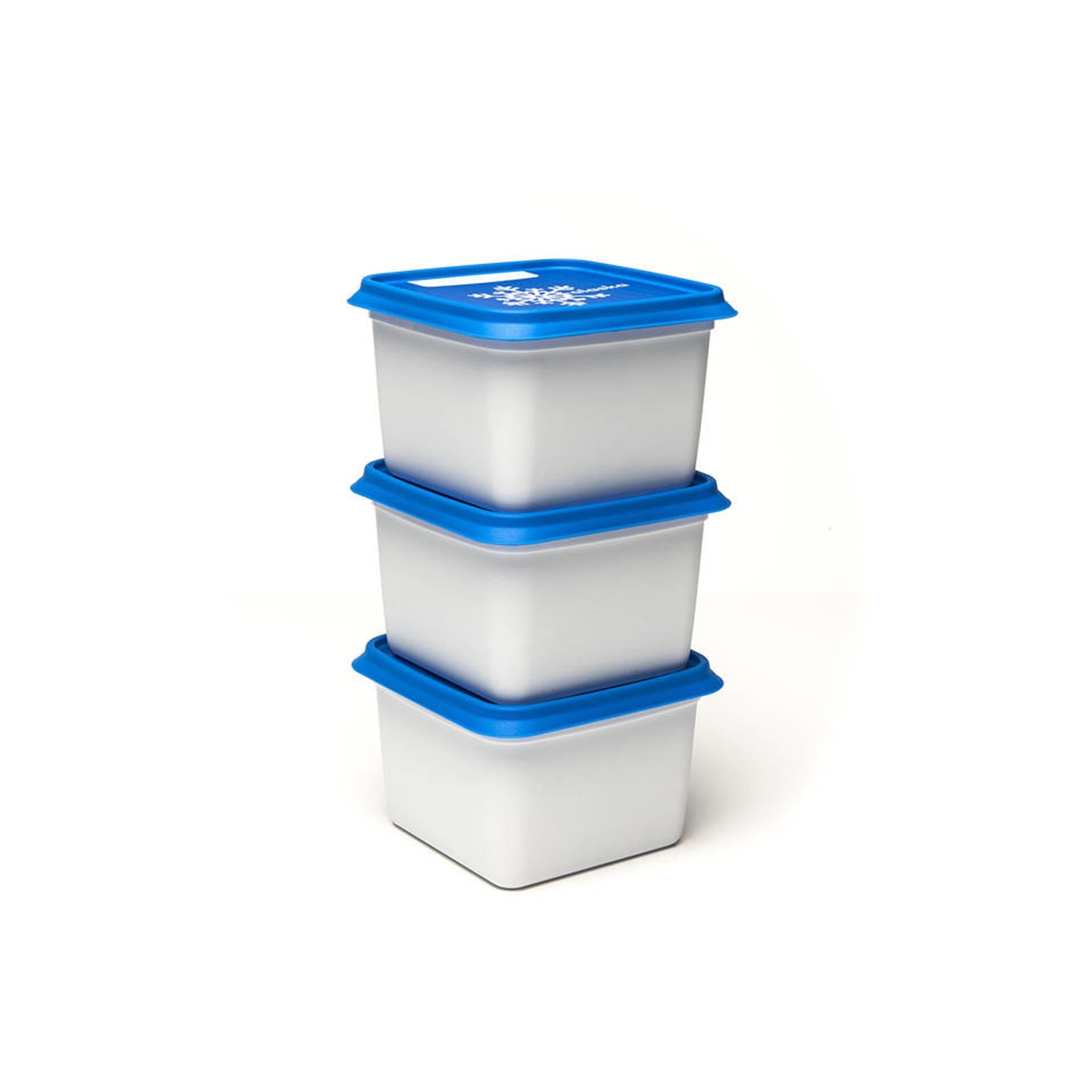 Alaska dbp diepvriesdoos 750 ml set van 3 stuks