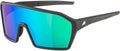 Olympic sportswear alpina sports sportbril ram q-lite jade spiegellens zwart