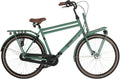 Bimas - Bimas Transporter 3.3 28 inch 57 cm heren 3v rollerbrake matgroen